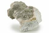 Sparkling Pyrite Crystals on Rhodochrosite - Kosovo #374407-1